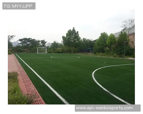 足球场草坪的美丽景观与维护技巧探讨